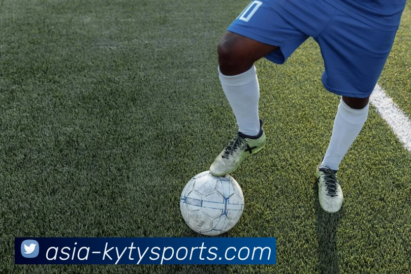 开云体育APP 封面图